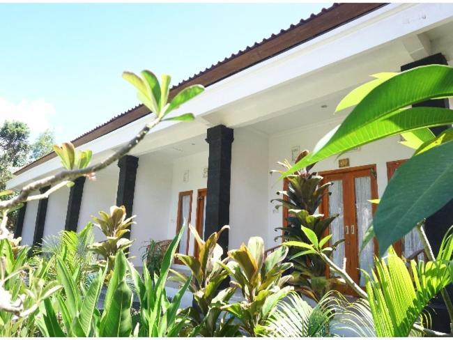 Wani Bali Bungalow Toyapakeh 외부 사진